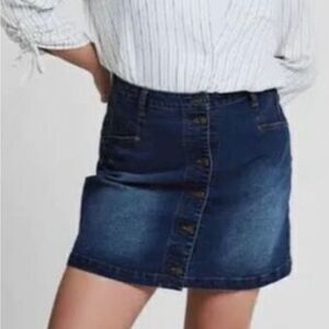 Frye Plus denim skirt